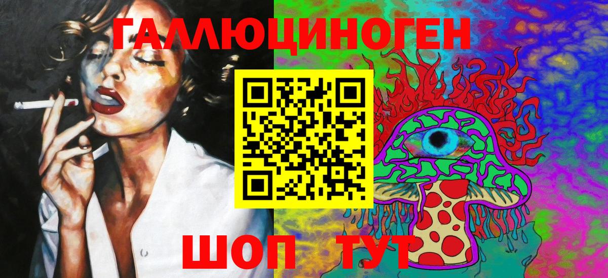 Псилоцибиновые грибы Psilocybine cubensis Большой Камень