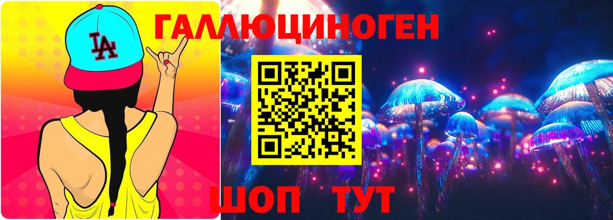 Большой Камень  Псилоцибиновые грибы мицелий  Вход с VPN 
